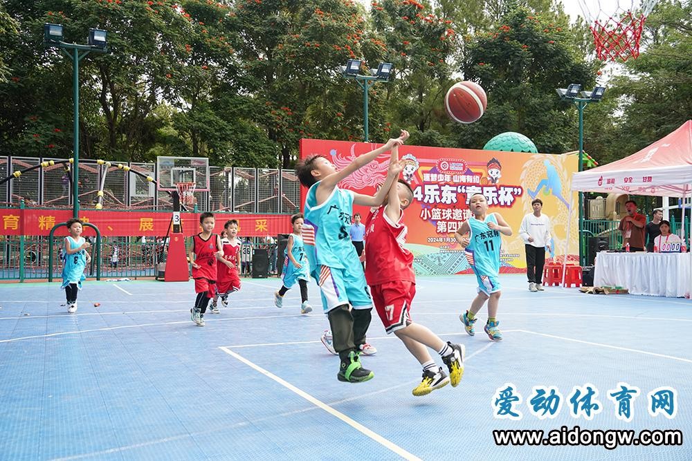 如何为不同水平的球员制定个性化的篮球训练策略_2
